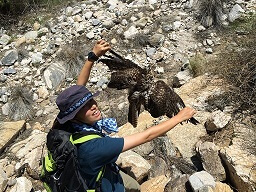 取締役 三根佳奈子
