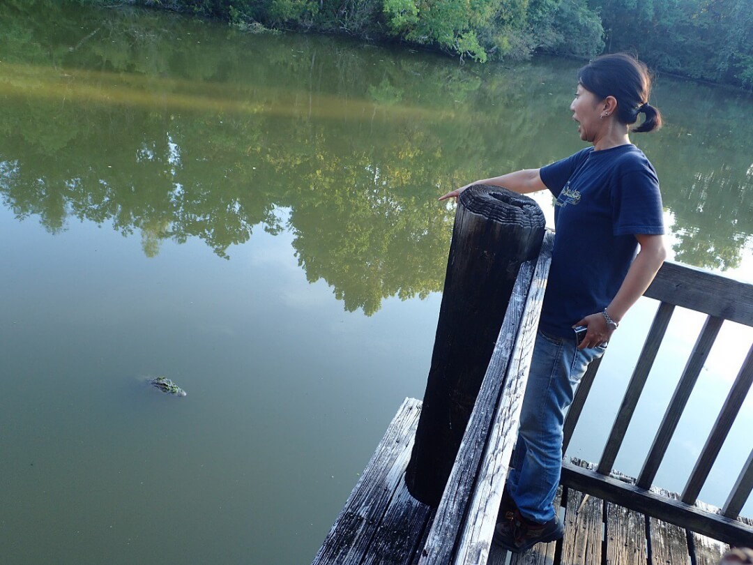 代表取締役 谷口真理